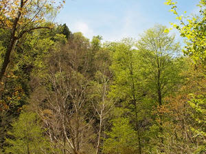 P6026355shuusei.JPG