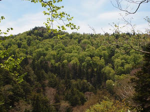 P6026370shuusei.JPG