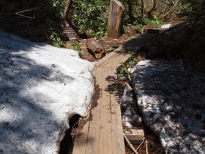 P6026380shuusei.JPG