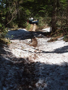 P6026383shuusei.JPG