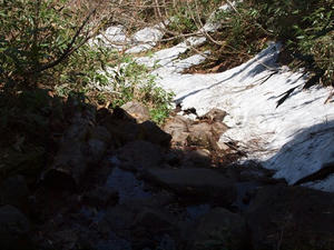P6026386shuusei.JPG