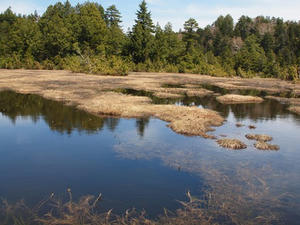 P6026396shuusei.JPG