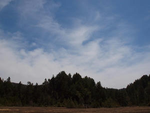 P6026401shuusei.JPG