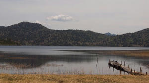 P6026419shuusei.JPG