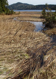 P6026436shuusei.JPG