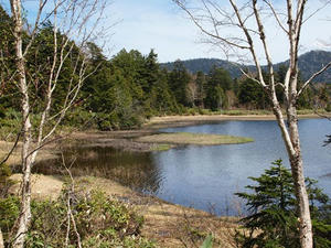 P6026441shuusei.JPG