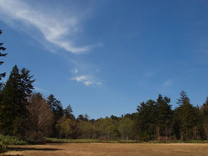 P6026473shuusei.JPG