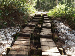 P6026575shuusei.JPG