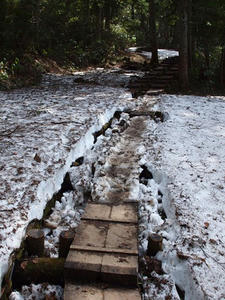 P6026576shuusei.JPG