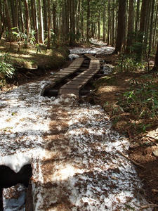 P6026581shuusei.JPG