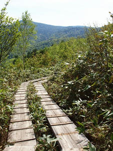 P6026583shuusei.JPG