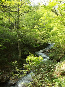 P6026615shuusei.JPG
