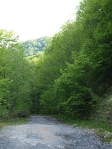 P6026617shuusei.JPG