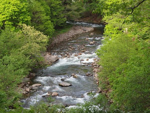 P6026620shuusei.JPG