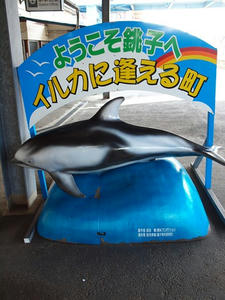 P5264579shuusei.JPG