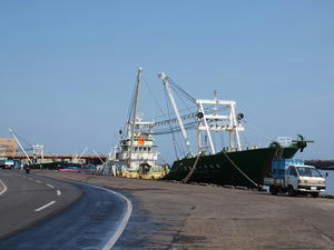 P5264587shuusei.JPG