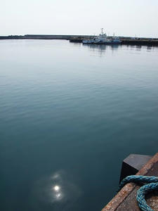 P5264586shuusei.JPG