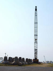 P5264584shuusei.JPG