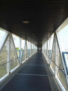 P5264591shuusei.JPG