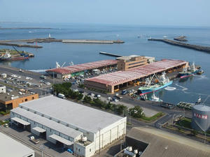 P5264599shuusei.JPG