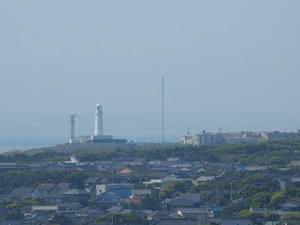 P5264601shuusei.JPG