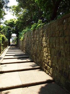 P5264635shuusei.JPG