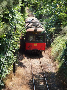 P5264639shuusei.JPG