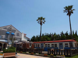P5264682shuusei.JPG