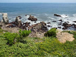 P5264764shuusei.JPG