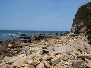 P5264782shuusei.JPG