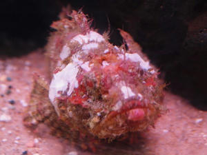 P5265160shuusei.JPG