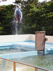 P5265306shuuseiJPG.jpg