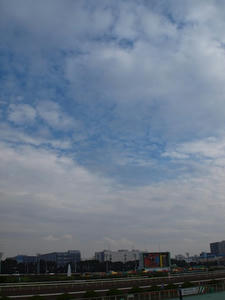 P6248468shuusei.JPG
