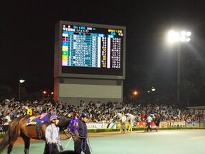 P6248895shuusei.JPG