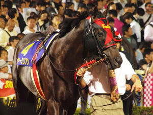 P6248846shuusei.JPG