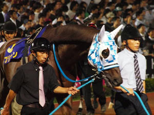 P6248782shuusei.JPG