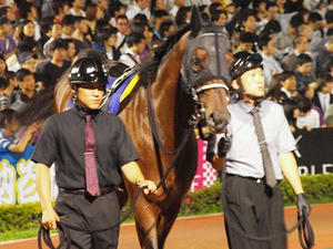 P6248865shuusei.JPG