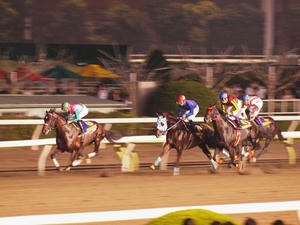 P6248949shuusei.JPG