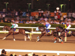 P6248958shuusei.JPG