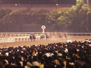 P6248984shuusei.JPG