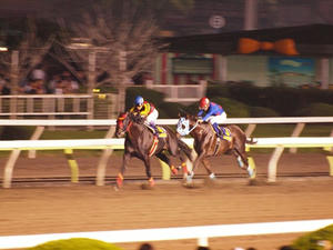 P6248998shuusei.JPG