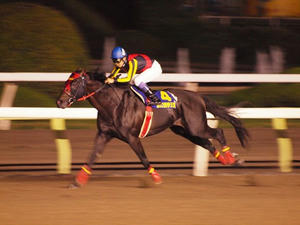 P6249005shuusei.JPG