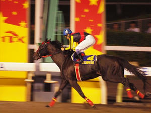 P6249015shuusei.JPG