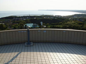 P5265381shuusei.JPG