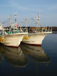 P5265414shuusei.JPG