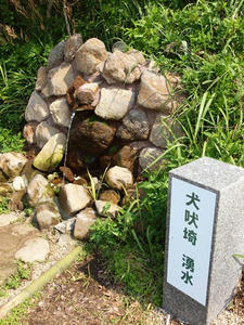 P5275604shuusei.JPG