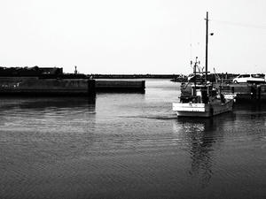P5275648shuusei.JPG