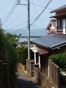 P5275638shuusei.JPG