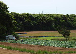 P5275674shuusei.JPG