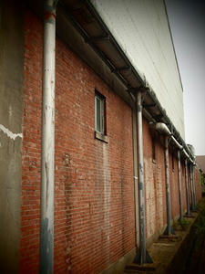 P5275713shuusei.JPG